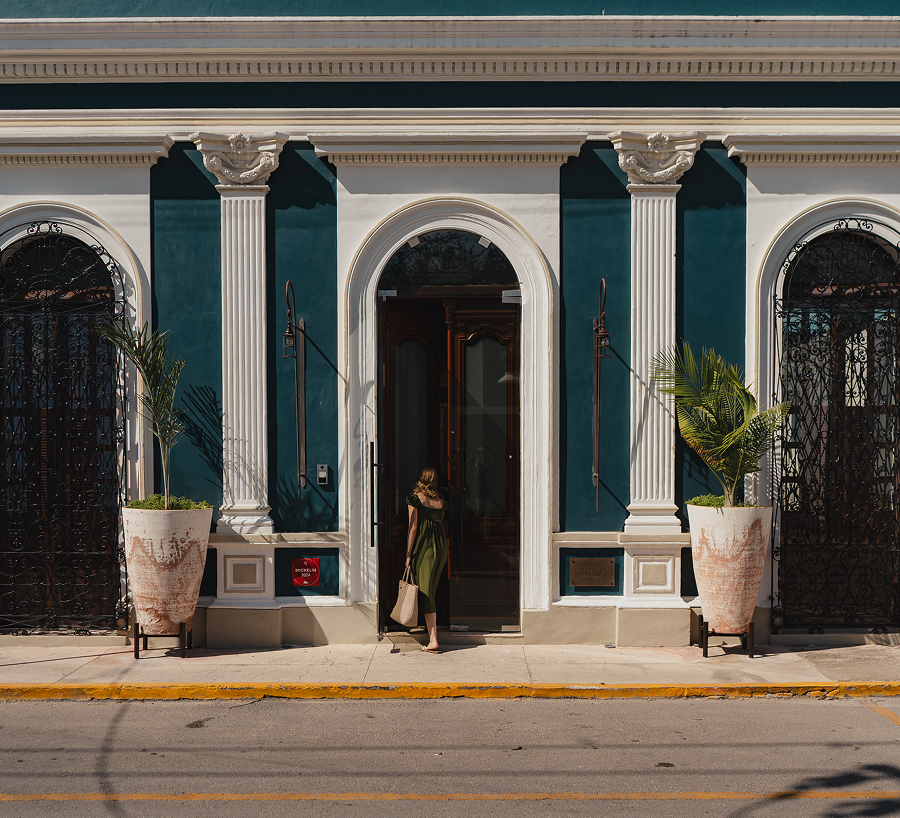 Cigno Ermita